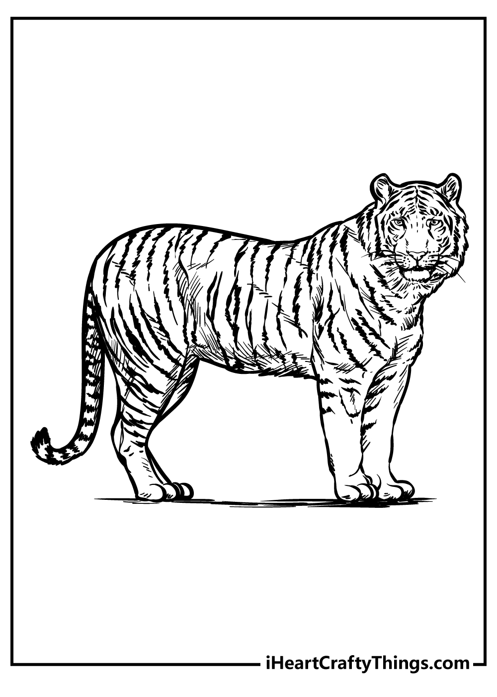 Zoo animals coloring pages free printables