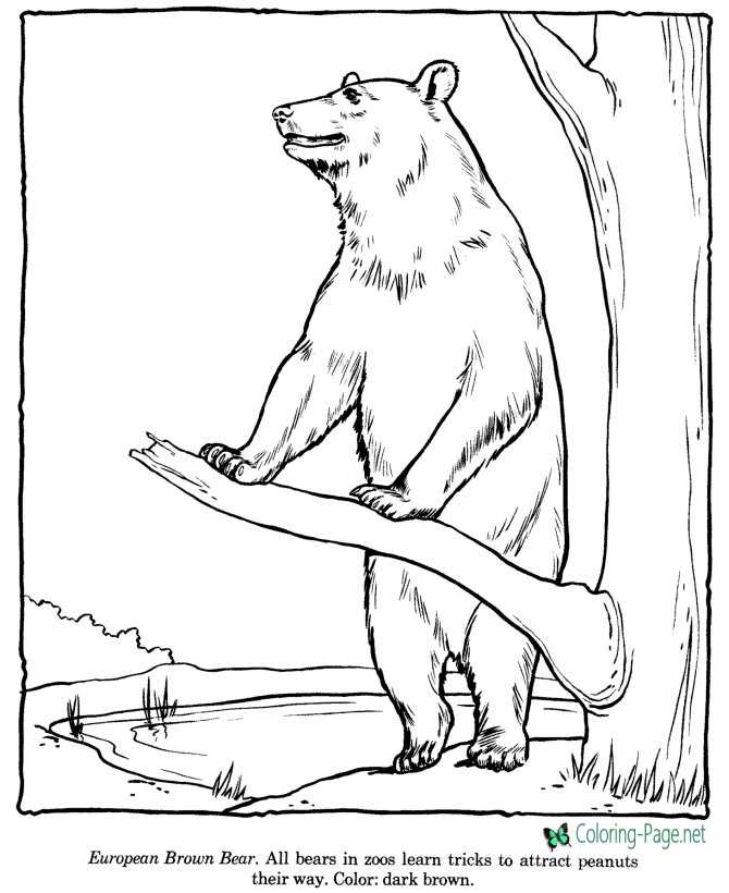 Zoo coloring pages