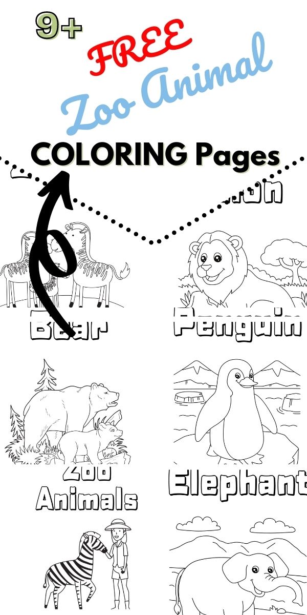 Zoo animal coloring pages