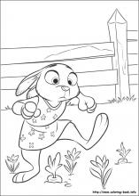 Zootopia coloring pages on coloring