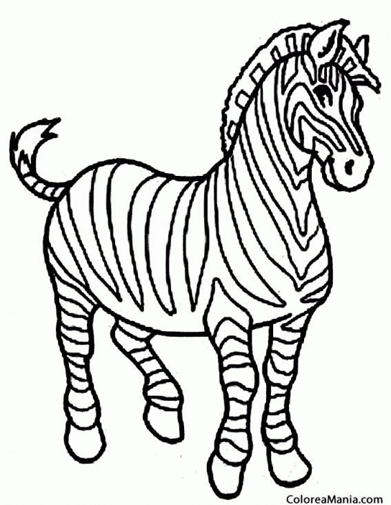 Zebra coloring pages zoo animal coloring pages animal coloring pages