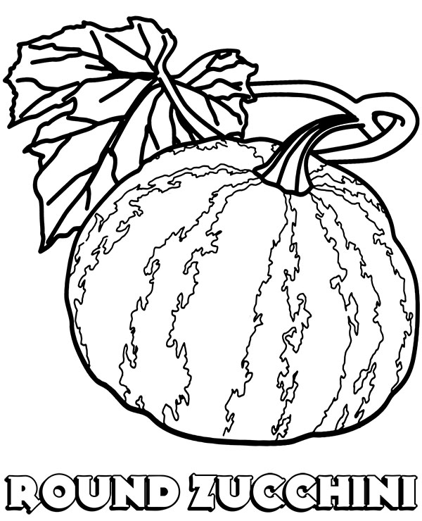 Zucchini coloring page vegetable