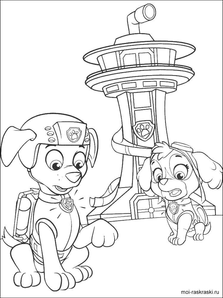 Online coloring pages coloring zuma and skye coloring