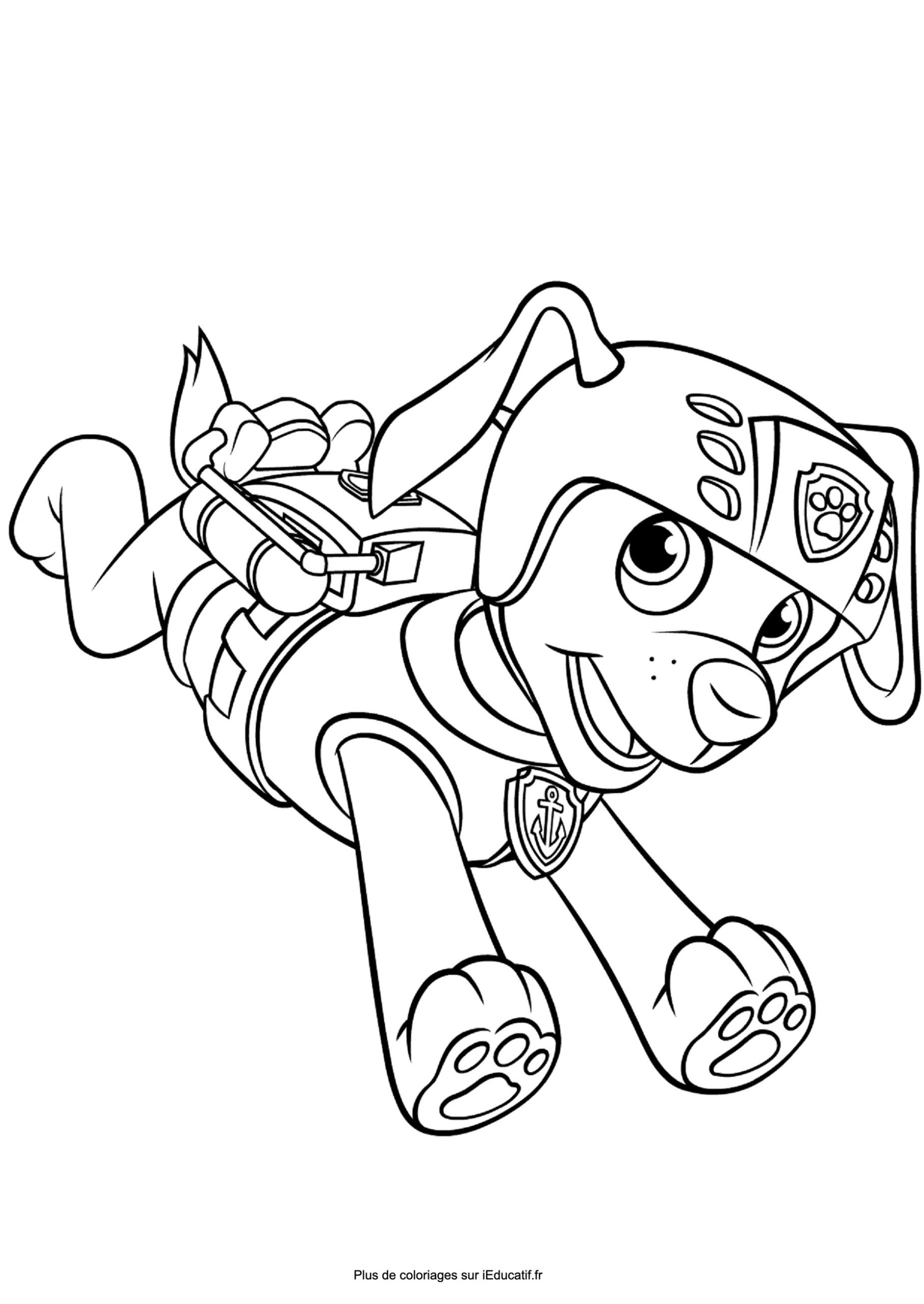 Zuma and his equipment coloring page paw patrol