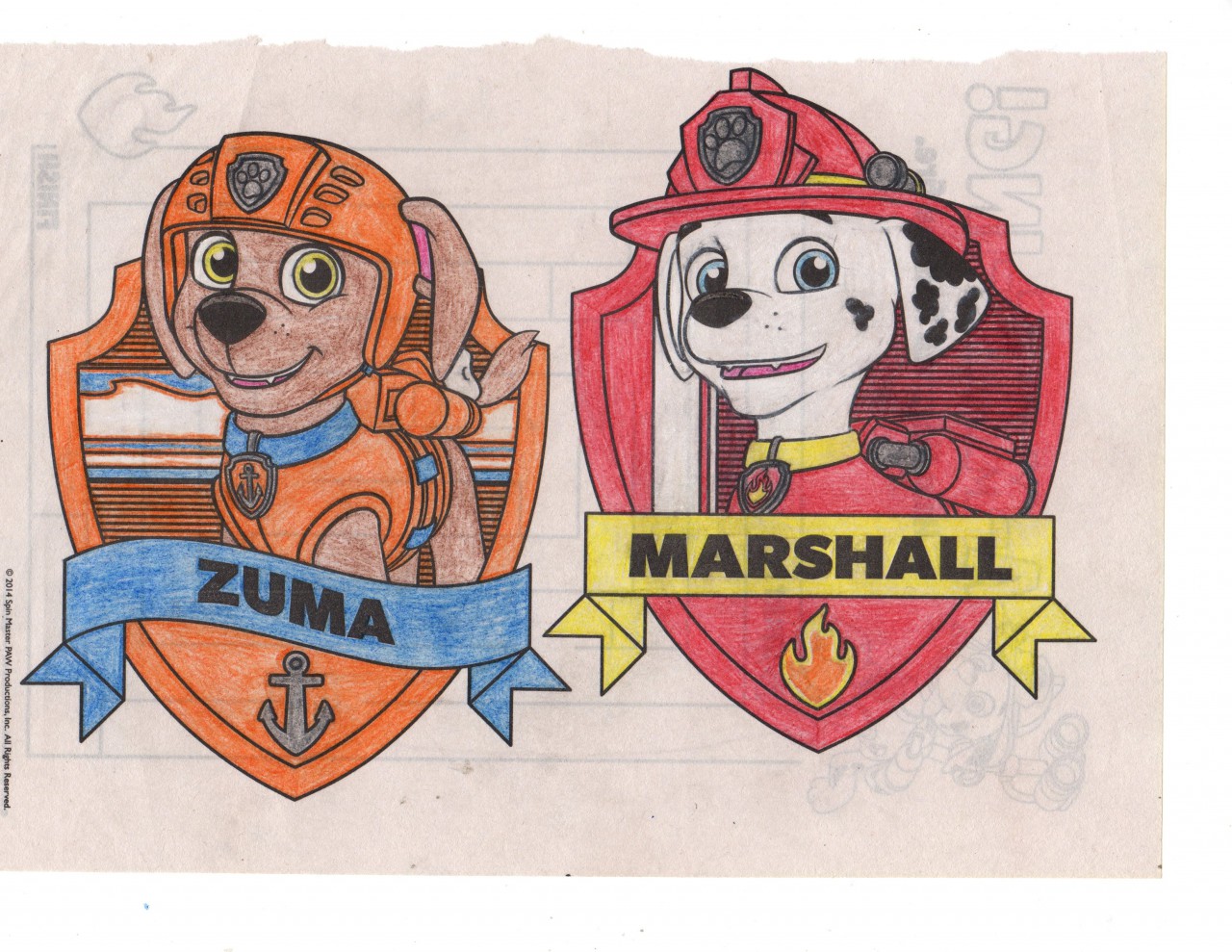 Paw patrol zuma and marshall coloring page by chrisno