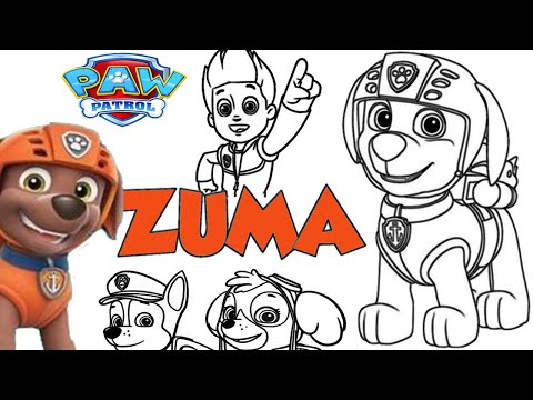 Paw patrol ovie zua coloring page