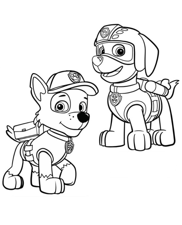 Zuma and rocky paw patrol image