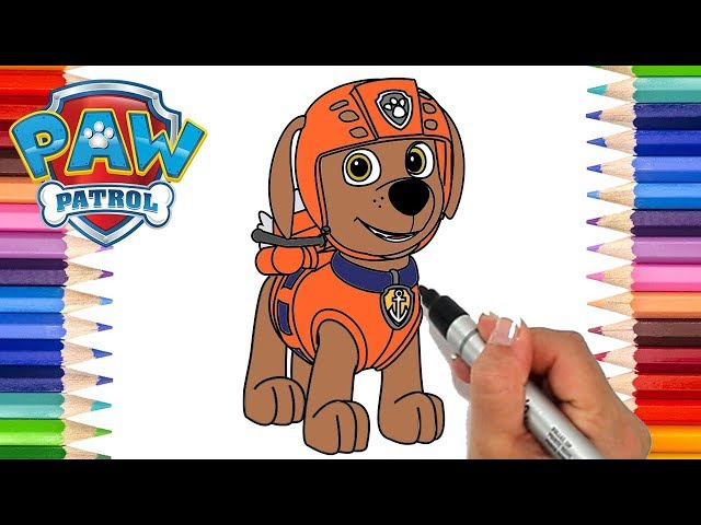 How to draw paw patrol zua coloring pages for kids learn to draw