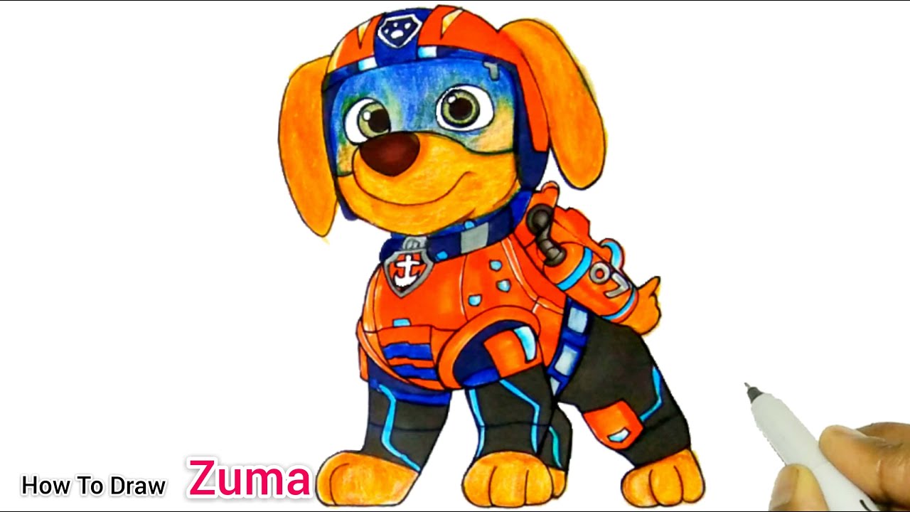 Watch paw patrol movie zuma pup how to draw zuma from paw patrol movie