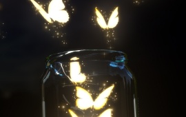 Moths Butterflies wallpapers