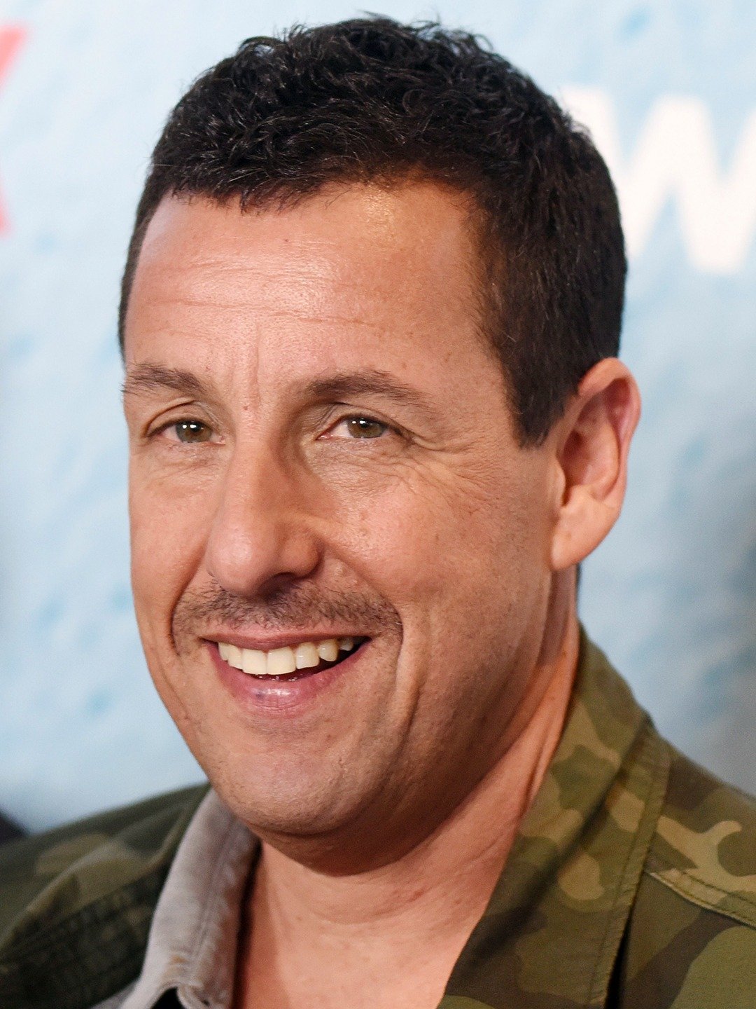 adam Sandler Rotten Tomatoes