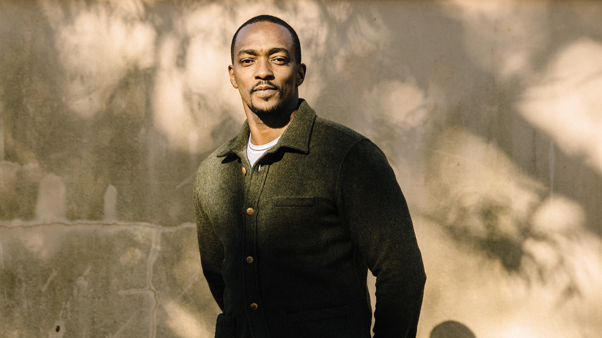 the Falcon And The Winter Soldier Sees Anthony Mackie As Marvel Lead  Variety