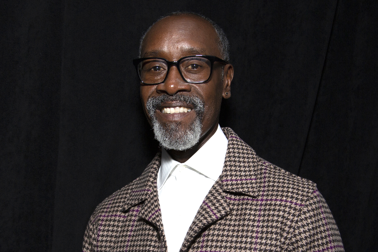 don Cheadle Jokes About Emmy Nod For Tfatws Cameo Peoplecom