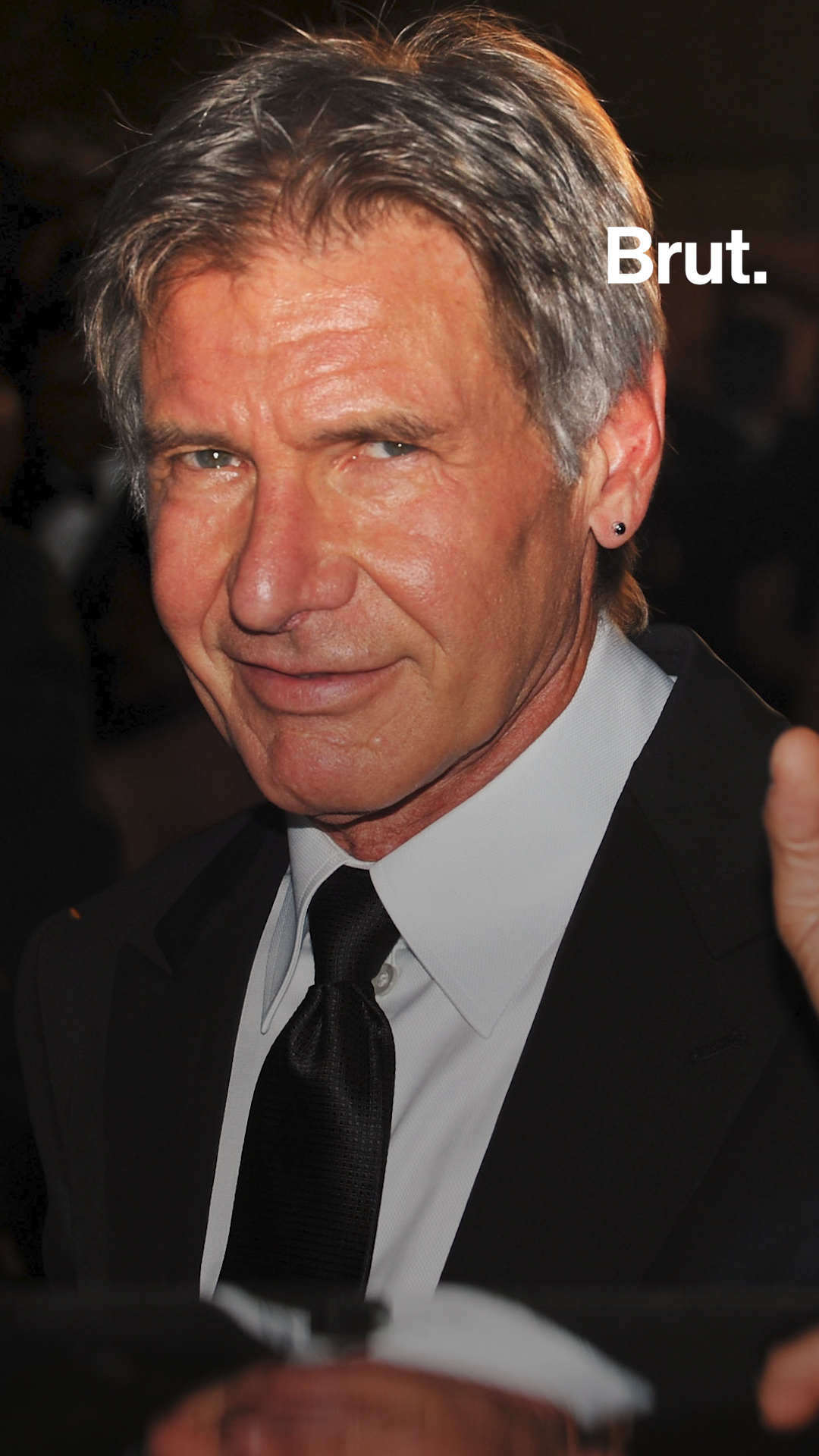 the Life Of Harrison Ford Brut