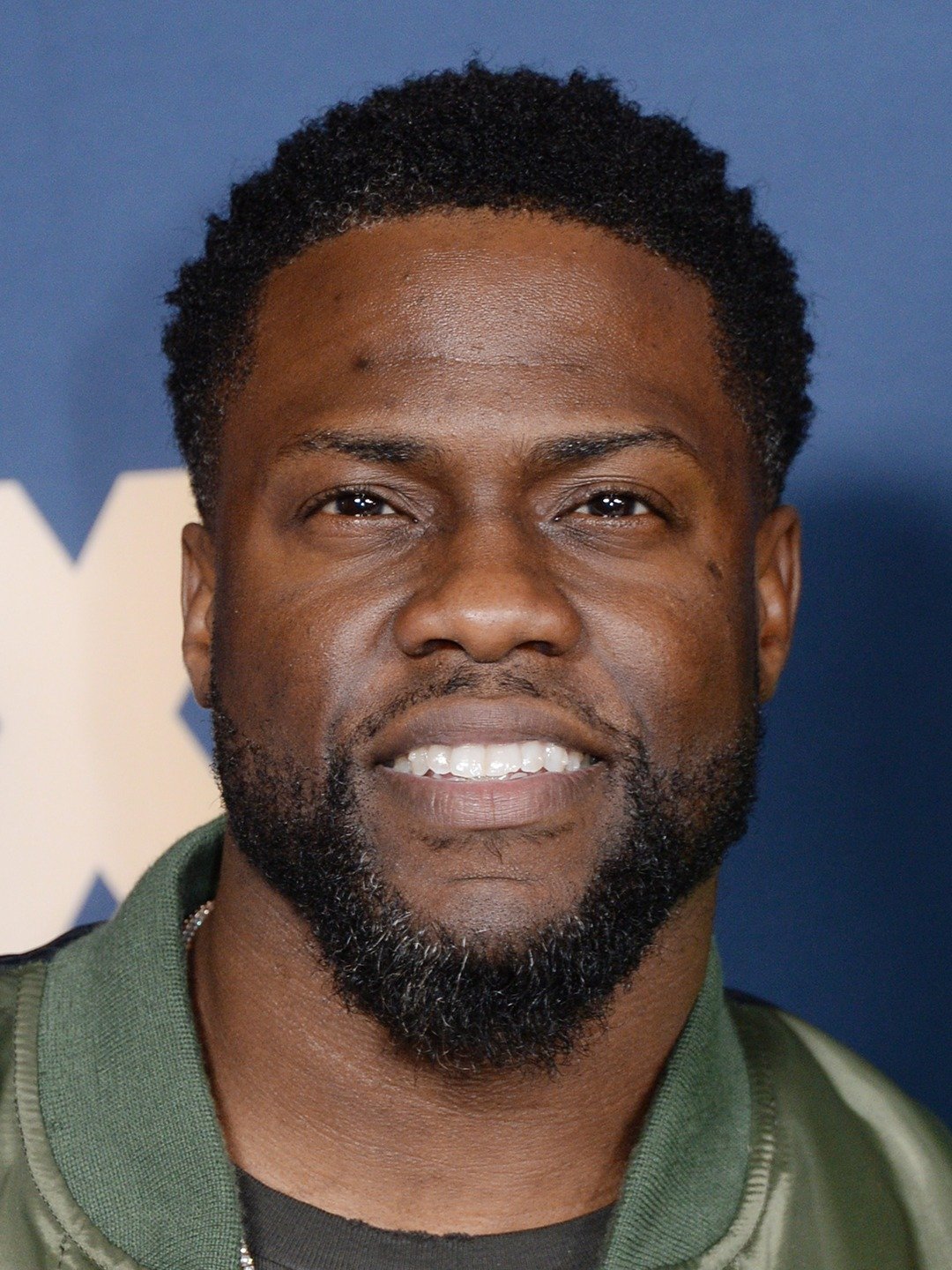 kevin Hart Rotten Tomatoes