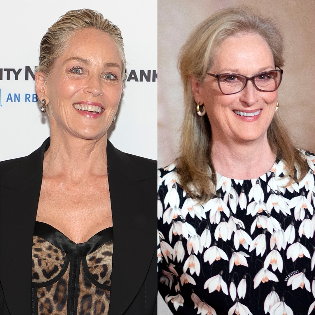 why Sharon Stones Thoughts On Meryl Streep Are Raising Eyebrows E Online