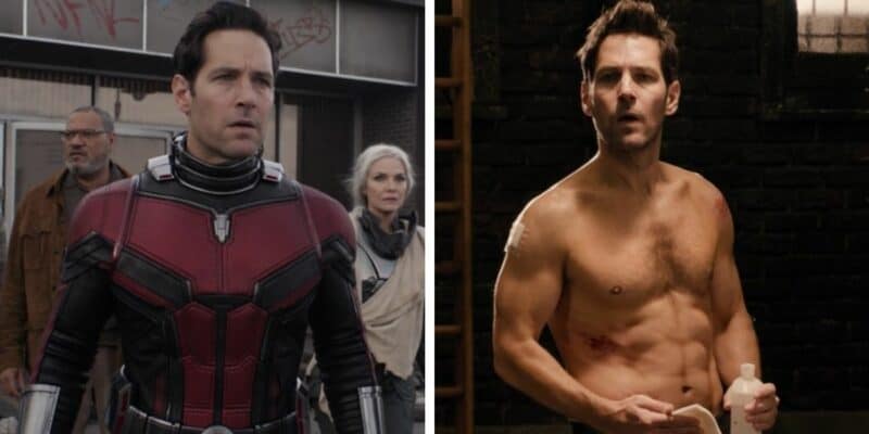 marvel Star Paul Rudd Hilariously Responds To New Sexiest Man Alive Status  Inside The Magic