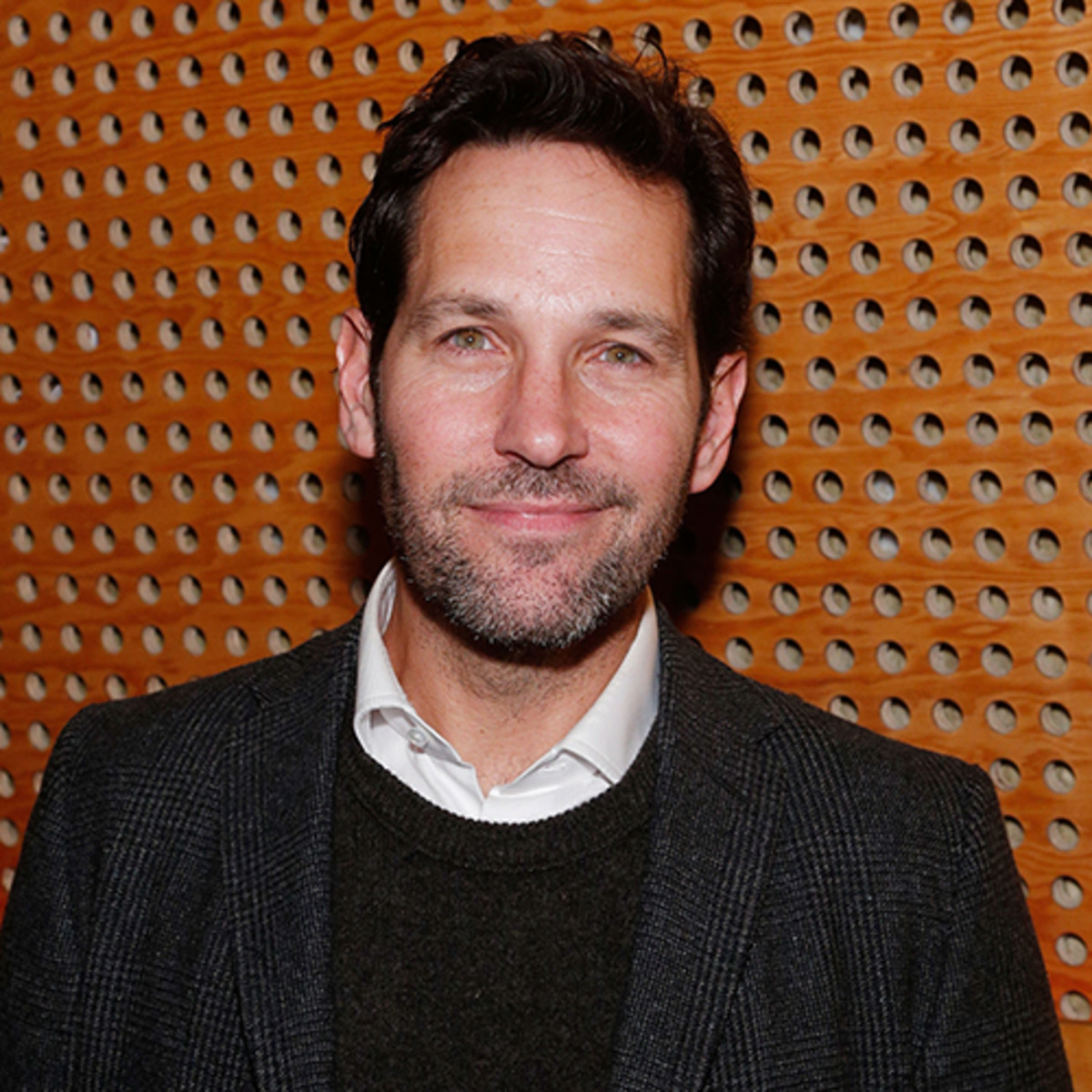 paul Rudd Movies Age Wife Biography