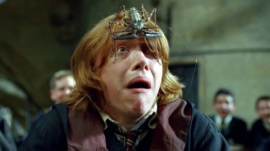 rupert Grint Likens Harry Potter Shoots To Groundhog Day It Just Never Ended Hindustan Times