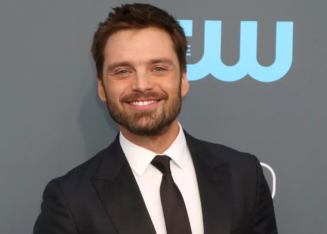 romanianborn Actor Sebastian Stan To Play Tommy Lee In Eightepisode Hulu Series Romania Insider