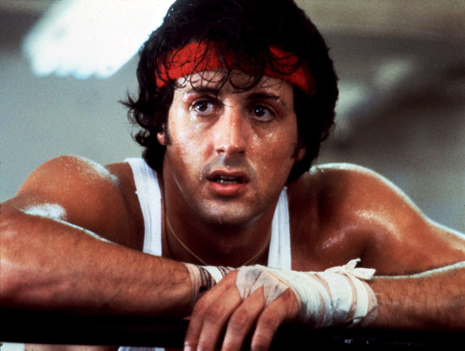 sylvester 228ed Stallone 29a19 Condemns E4c96 Rocky F075b Spinoff 221d2 Drago 1c37b Says 6b0e7 Franchises 71a79 Characters   Are   Being   Exploited   Ewcom