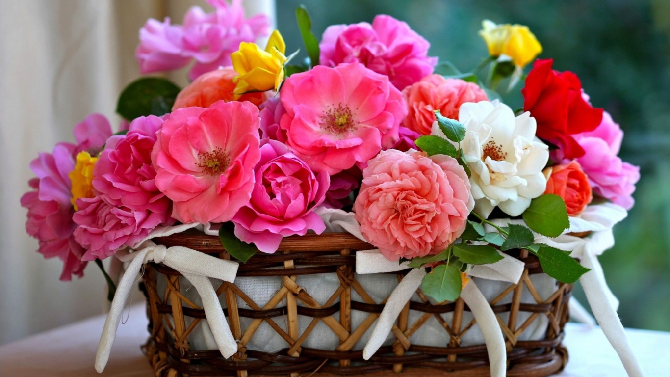 بستان ورد المصــــــــراوية - صفحة 5 Basket_roses-1366x768