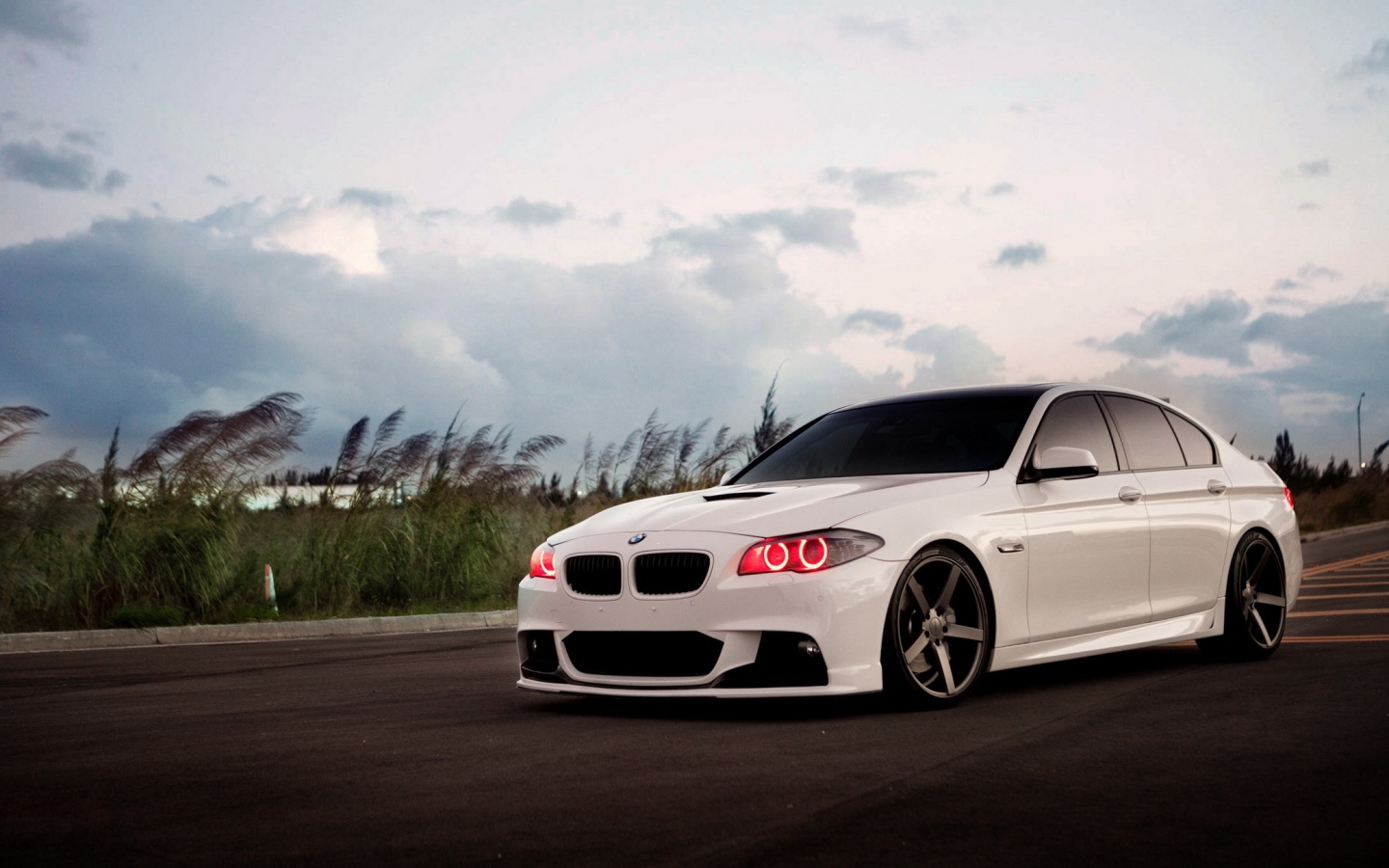 Bmw 5 vossen