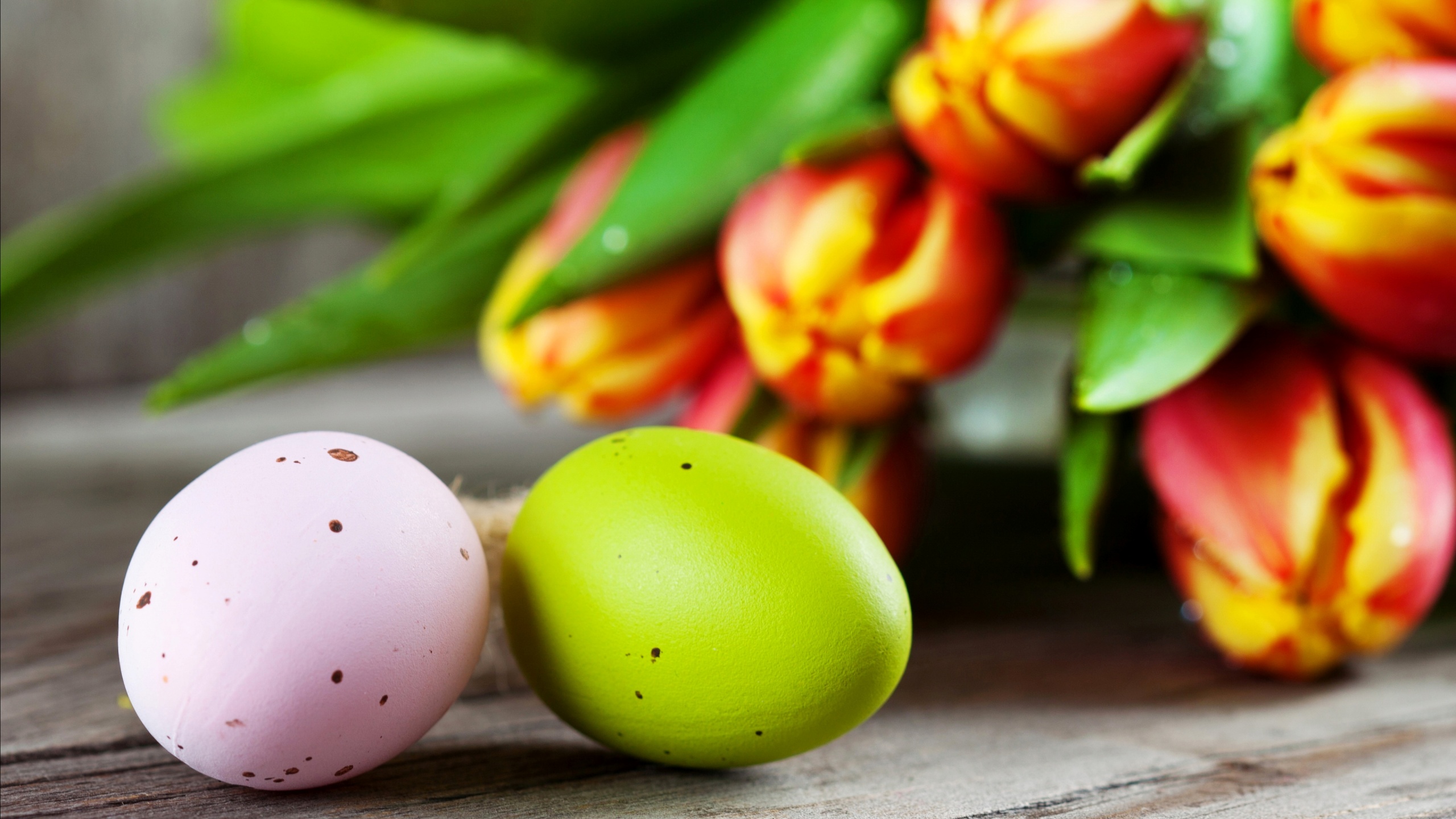 Easter Eggs Tulips Bouquet Wallpapers - 2560x1440 - 715428