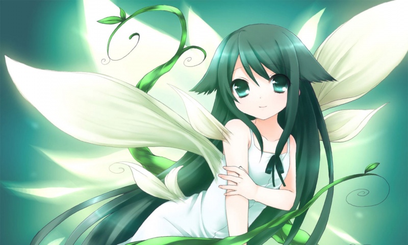 Flower Anime Girl Wallpapers - 800x480 - 107951