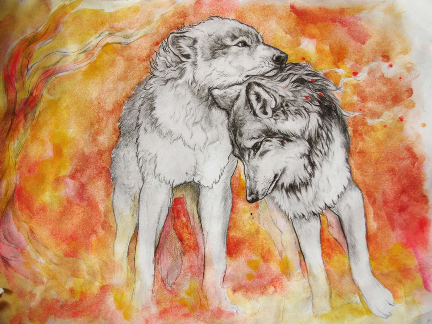 Волк рисунок гуашью