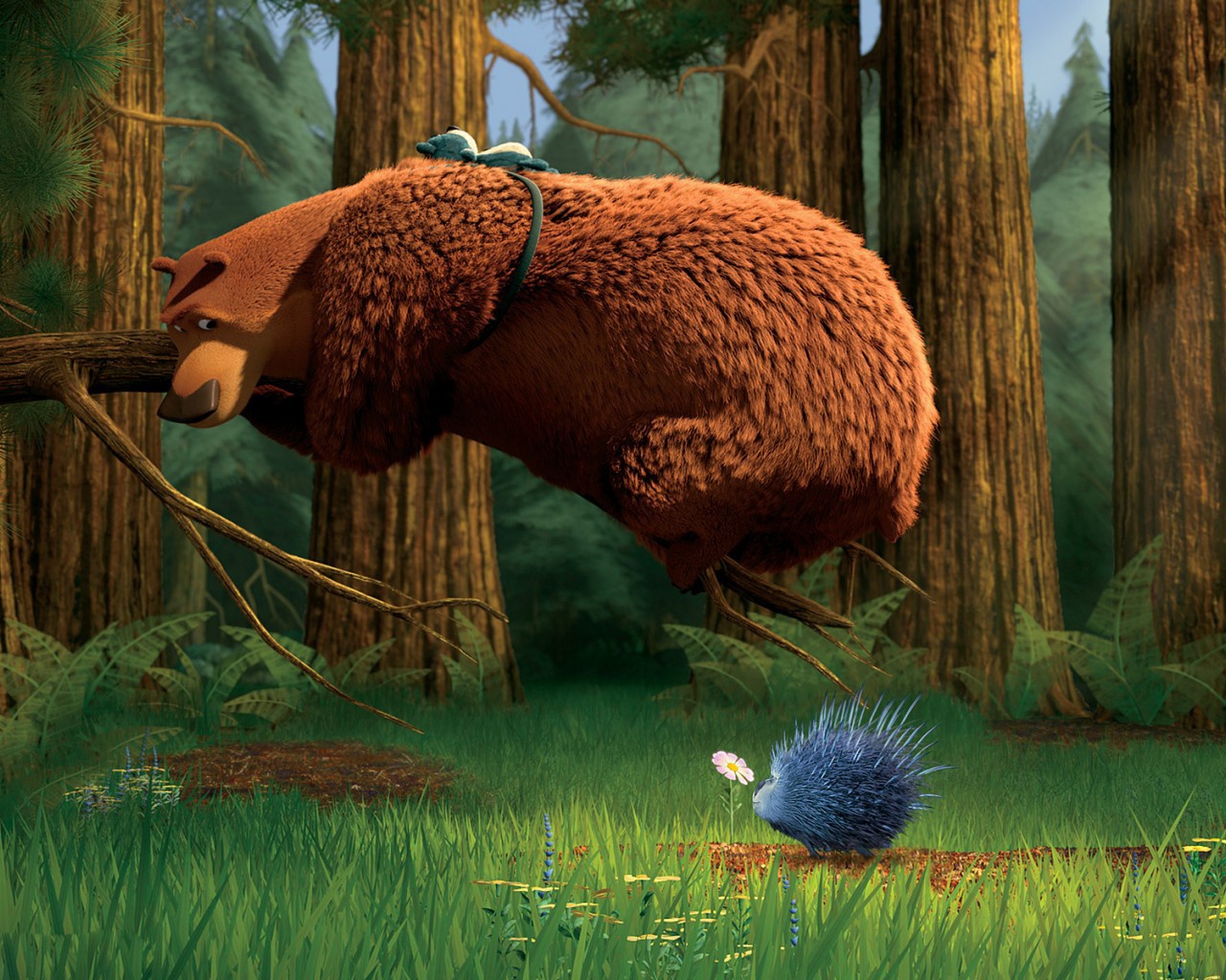 Open Season Bear Boog Wallpapers - 1280x1024 - 501172