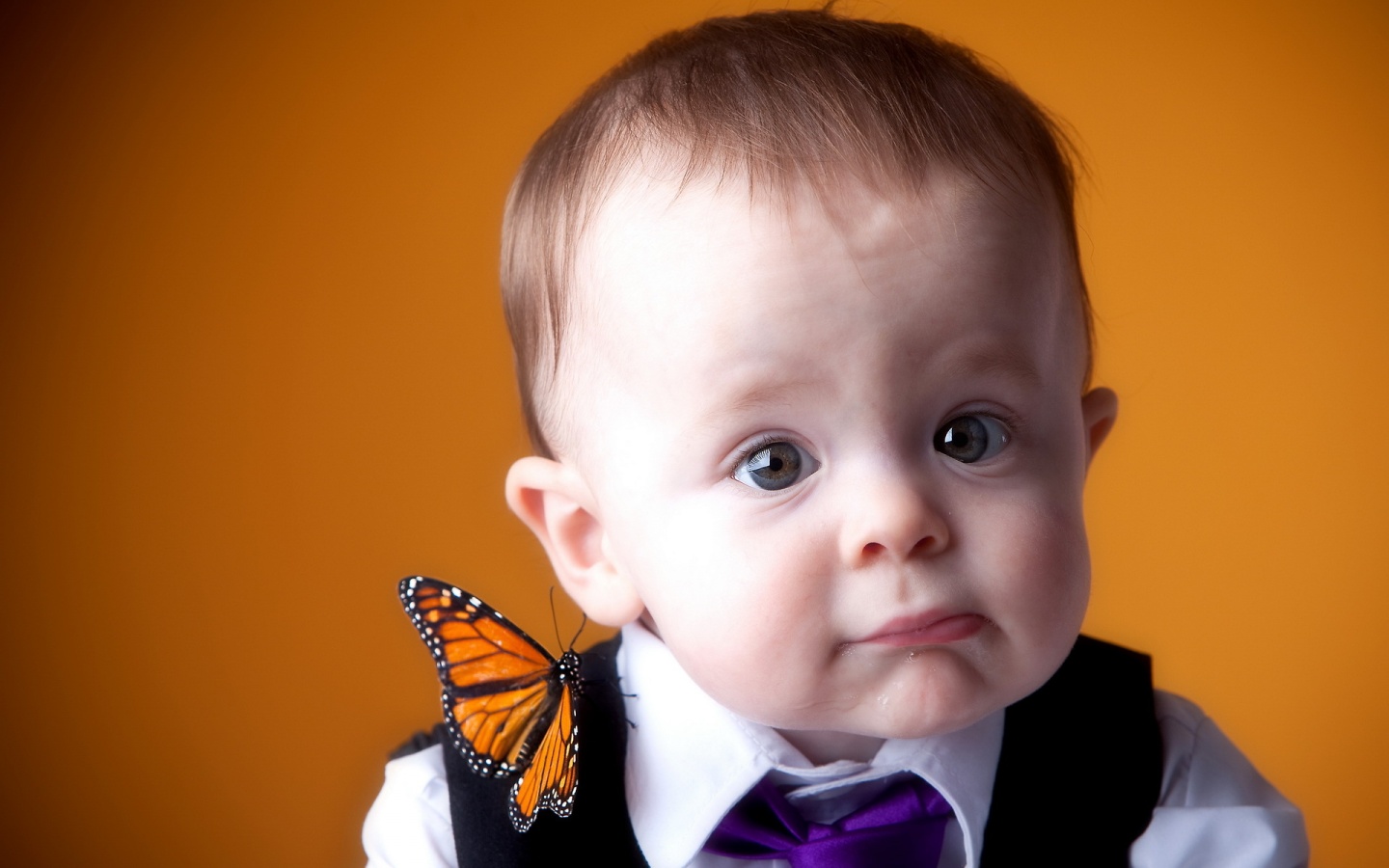 Portrait Boy On Butterfly Wallpapers - 1440x900 - 231729