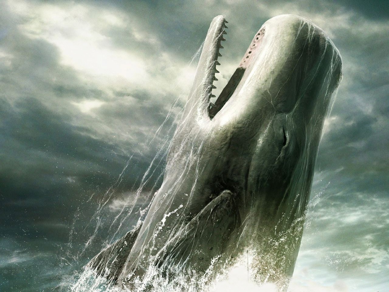 Whale Jump out of Water Wallpapers - 1280x960 - 436016