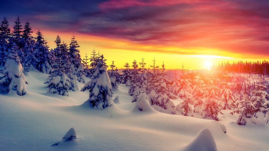 Winter Forest Sunset Sky Snow Wallpapers - 1024x576 - 214111