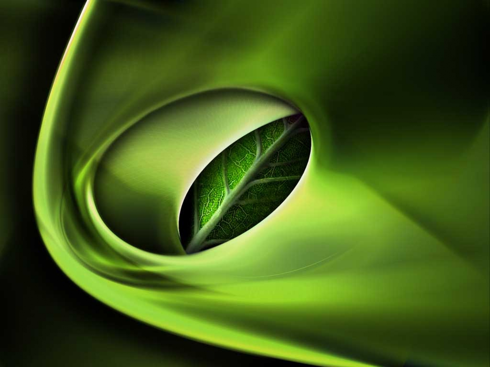 3D green leaf Wallpapers - 1600x1200 - 645272